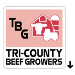 2 Inch X 2 Inch Square Roll Label
