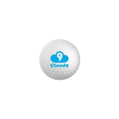 2PC Surlyn Competition Golf Balls
