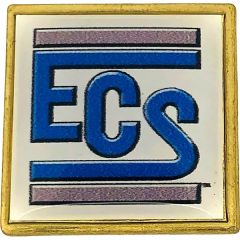 3/4 Inch W X 3/4 Inch H Square Digistock Lapel Pins