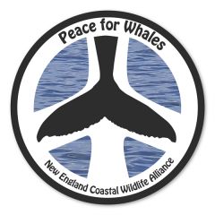 3 In Circle Repositionable Label