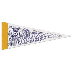 4 Inch X 10 Inch Color-Me Pennant