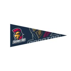 4 Inch X 10 Inch Full Color Felt Pennant