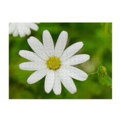 500 Piece Jigsaw Photo Puzzle