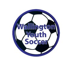 5 3/4 Inch Round Bumper Vehicle Magnet