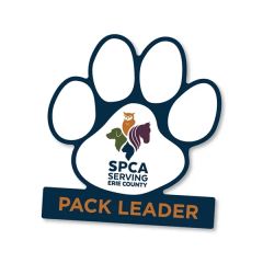 5 Inch Paw Shape Decal W/ Footer