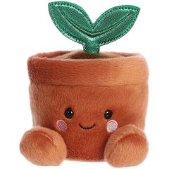 5 Inch Potted Plant