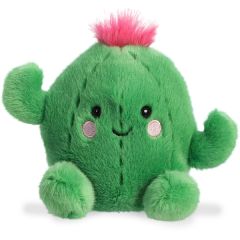 5 Inch Prickles Cactus