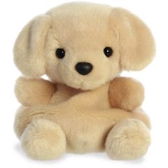 5 Inch Sunny Lab