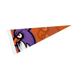 5 Inch X 12 Inch Full Color Felt Pennant - With Strip