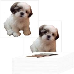 5 Inch X 5.5 Inch Custom Temporary Tattoos