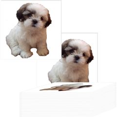 5 Inch  X 5.5 Inch  Custom Temporary Tattoos