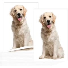 5 Inch X 8 Inch Custom Temporary Tattoos