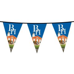 60 Ft PVC Triangular Pennant String