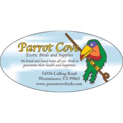 6 Inch X 3 Inch Kwik-Ship Digital Oval Decal