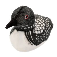7 Inch Common Loon