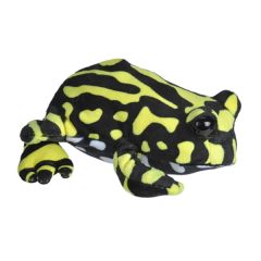 7 Inch Hug'ems Corroboree Frog