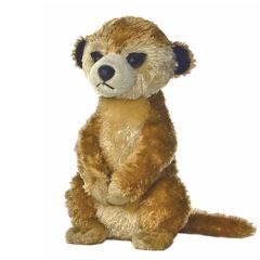8 Inch Meerkat