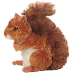 8 Inch Nutsie Squirrel