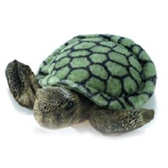 8 Inch Splish Splash Turtle