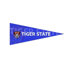 8 Inch X 18 Inch Full Color Felt Pennant
