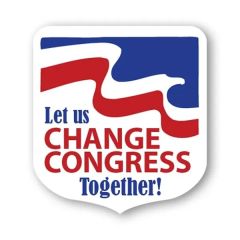 8 Inch X 8 Inch Elect Political Shape Stock Vinyl Magnet - 30mil