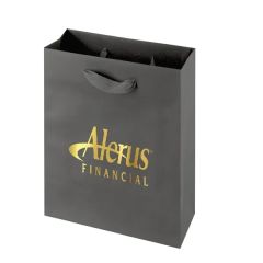 8 X 4x 10 Inch 200 GSM Kraft Eurototes Bag