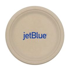 9 Inch Eco-Friendly Paper Plate