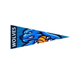 9 Inch X 24 Inch Full Color Felt Pennant