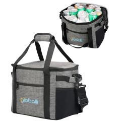 Alpine 24 Can Cooler