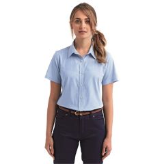 Artisan Collection By Reprime Ladies' Microcheck Gingham ...
