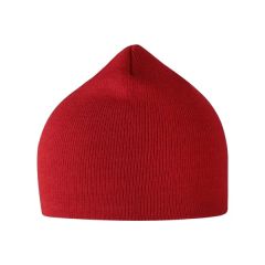 Atlantis Headwear Sustainable 8 Inch Beanie