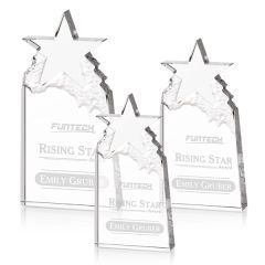 Augustine Award