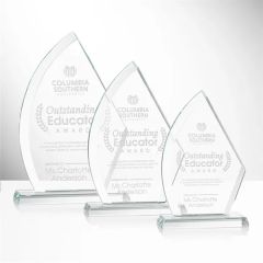 Ayrton Award