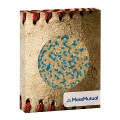 Baseball Round Window Box With Sprinkled Sugar Cookies