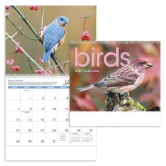 Birds 2024 Calendar