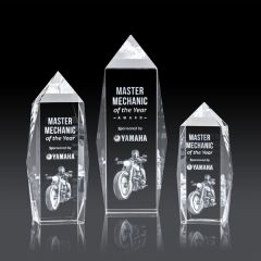 Bloomington Award 3D