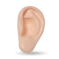 Body Parts Shaped Stress Relievers