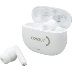 Boompods Noise Canceling Echobuds