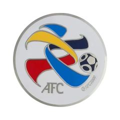 Brass Imitation Cloisonne Coins