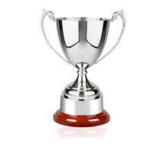 Buckingham Award