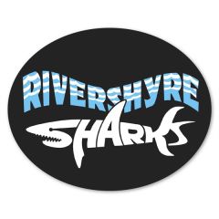 Car Sign Oval Magnet 5 X 4