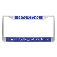 Chrome Plated Zinc Insert License Plate Frame