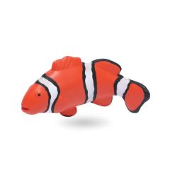 Clown Fish
