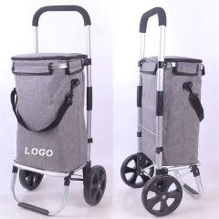 Collapsible Shopping Cart