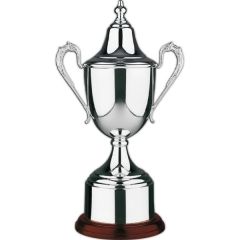 Colonial Silver Award Cup