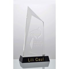 Crystal Summit Award