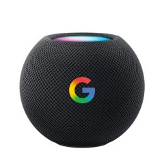 Custom Apple Homepod Mini