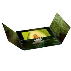 Custom Full-Color Fold Brochure W/Hard/Soft Cover