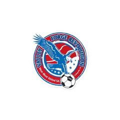 Custom Shape Car Sign Magnet 16 Inch To 16.9 Inch Square Inches