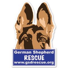 Die Cut Custom Shape Magnet
